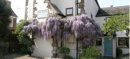 Lea House 4*